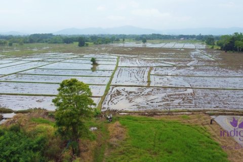 ที่ดินในเชียงใหม่, ประเทศไทย № 202221 - รูปถ่าย 13