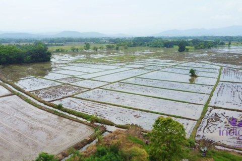 ที่ดินในเชียงใหม่, ประเทศไทย № 202221 - รูปถ่าย 15