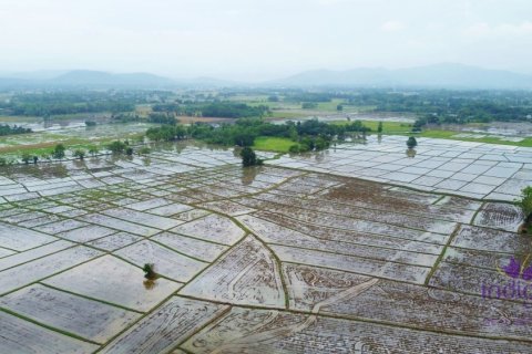 ที่ดินในเชียงใหม่, ประเทศไทย № 202221 - รูปถ่าย 10