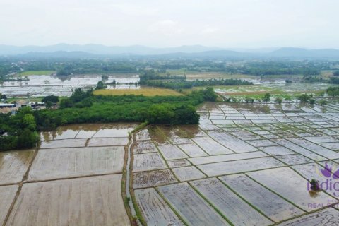 ที่ดินในเชียงใหม่, ประเทศไทย № 202221 - รูปถ่าย 11