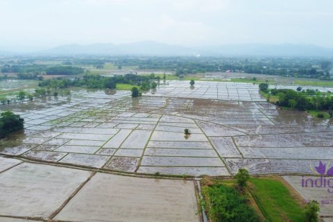 ที่ดินในเชียงใหม่, ประเทศไทย № 202221 - รูปถ่าย 4