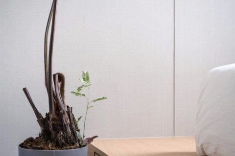 Studio dans le Condo à Phra Khanong, Bangkok, Thaïlande № 149164 - photo 8