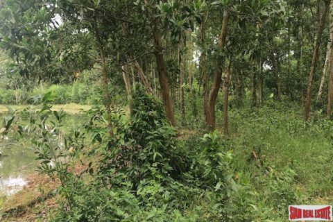 Terrain à Phang Nga, Thaïlande 13692 m2 № 193919 - photo 5