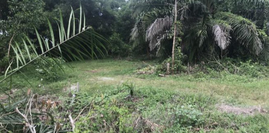 Terrain à Phang Nga, Thaïlande 13692 m2 № 193919