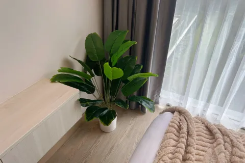 Studio dans le Condo à Phuket, Thaïlande  № 160558 - photo 5