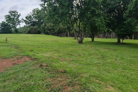 Land in Chiang Rai, Thailand 1600 sq.m. № 152868 - photo 8