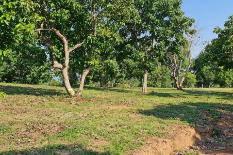 Land in Chiang Rai, Thailand 1600 sq.m. № 152868 - photo 28