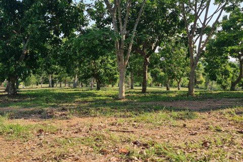 Land in Chiang Rai, Thailand 1600 sq.m. № 152868 - photo 17