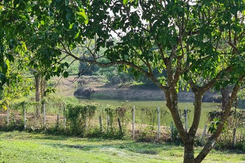 Land in Chiang Rai, Thailand 1600 sq.m. № 152868 - photo 29