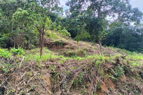Земельный участок в Самуи, Таиланд 1284м2  № 172303 - фото 5