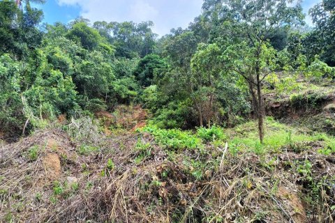 Земельный участок в Самуи, Таиланд 1284м2  № 172303 - фото 6