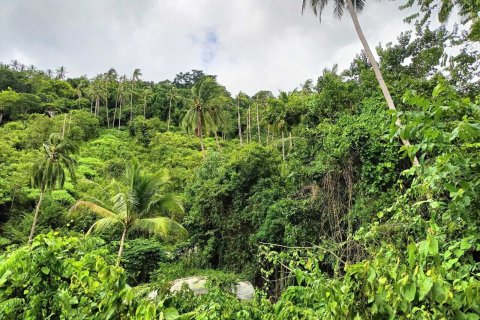 Земельный участок в Самуи, Таиланд 1284м2  № 172303 - фото 7