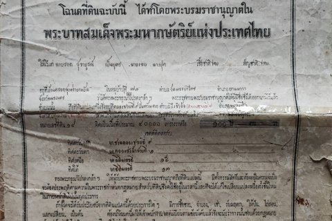 Terrain à Pathum Thani, Thaïlande 100548 m2 № 160355 - photo 6