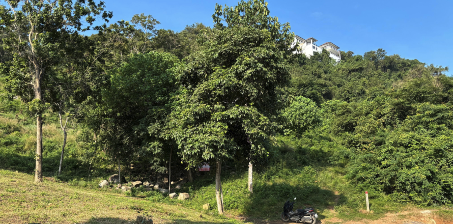Terrain à Ko Samui, Thaïlande 2150 m2 № 151369