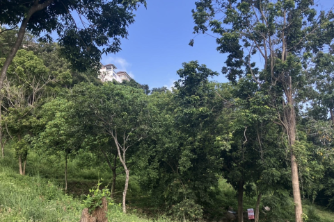 Terrain à Ko Samui, Thaïlande 2150 m2 № 151369 - photo 3