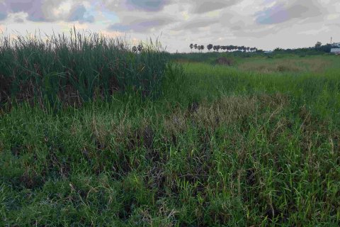 Land in Bang Bua Thong, Thailand 16956 sq.m. № 160754 - photo 7