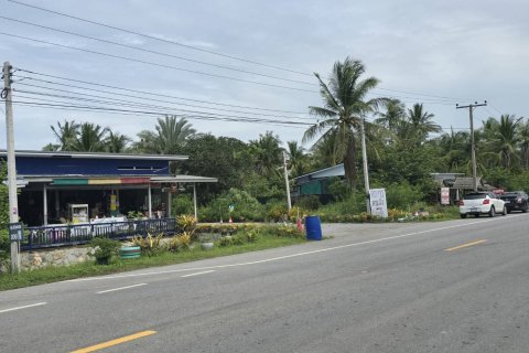 Land in Hua Hin, Thailand 8000 sq.m. № 163539 - photo 4