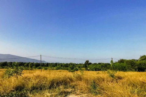 Земельный участок в Лампхуне, Таиланд № 122822 - фото 6