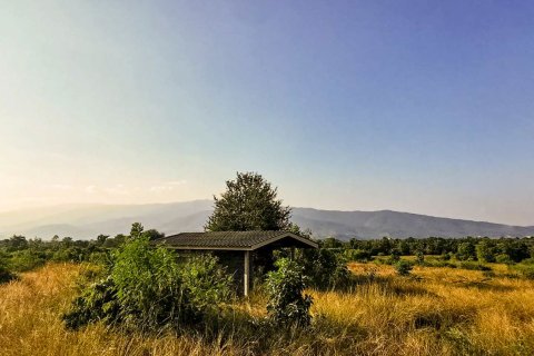 Land in Lamphun, Thailand № 122822 - photo 4