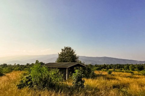 Земельный участок в Лампхуне, Таиланд № 122822 - фото 4