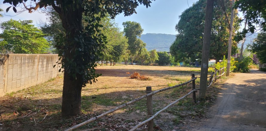 Land in Ko Samui, Thailand 6400 sq.m. № 139908