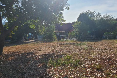 Land in Ko Samui, Thailand 6400 sq.m. № 139908 - photo 15