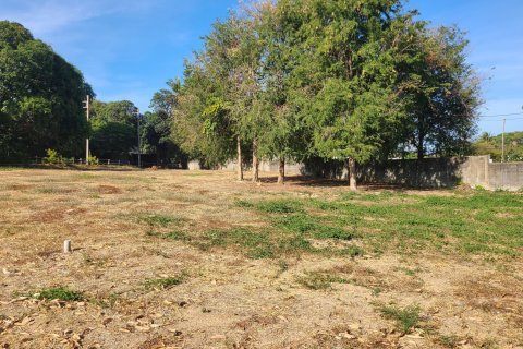 Land in Ko Samui, Thailand 6400 sq.m. № 139908 - photo 11