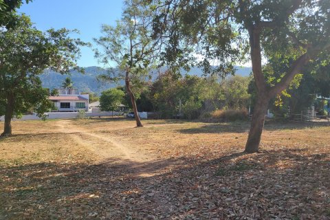 Land in Ko Samui, Thailand 6400 sq.m. № 139908 - photo 16