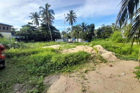 Land in Surat Thani, Thailand 150 sq.m. № 115385 - photo 3