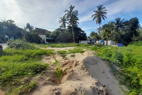 Land in Surat Thani, Thailand 150 sq.m. № 115385 - photo 4
