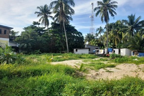 Land in Surat Thani, Thailand 150 sq.m. № 115385 - photo 1