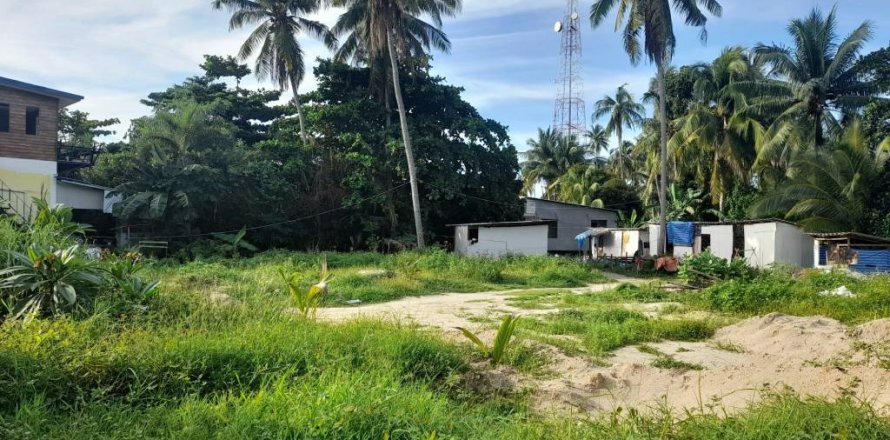 Land in Surat Thani, Thailand 150 sq.m. № 115385