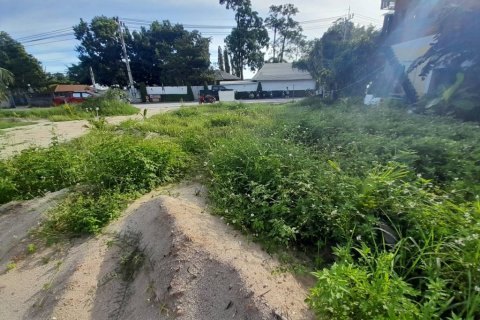 Land in Surat Thani, Thailand 150 sq.m. № 115385 - photo 6