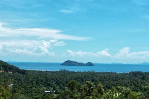 Земельный участок в Сураттхани, Таиланд  № 115386 - фото 1