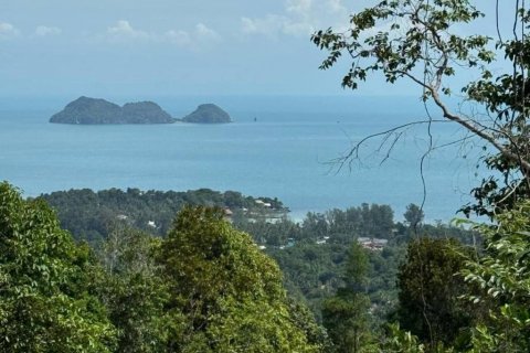 Земельный участок в Сураттхани, Таиланд  № 115386 - фото 2