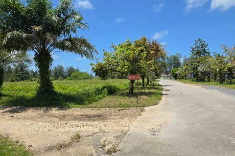 Земельный участок в Пхангнге, Таиланд 16000м2 № 145074 - фото 7