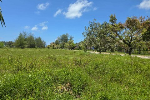 Земельный участок в Пхангнге, Таиланд 16000м2 № 145074 - фото 4