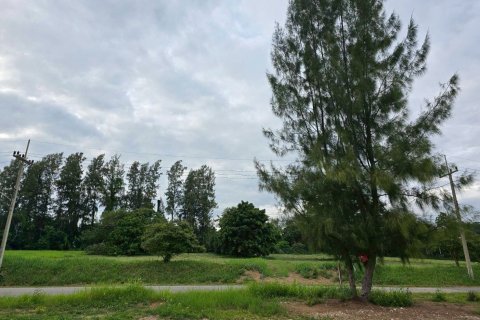 Земельный участок в Сарабури, Таиланд 55072м2  № 145078 - фото 14