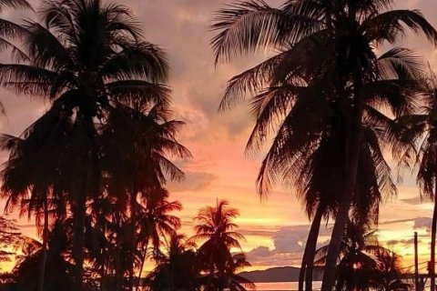 Вилла в Пхангнге, Таиланд с 2 спальнями  № 140329 - фото 8