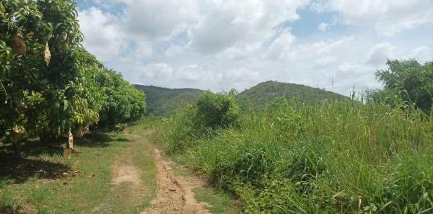 Terrain à Hua Hin, Thaïlande 21188 m2 № 136273