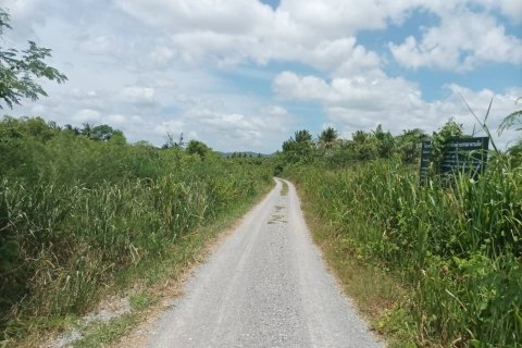 Terrain à Hua Hin, Thaïlande 21188 m2 № 136273 - photo 9