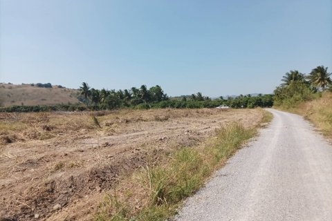 Terrain à Hua Hin, Thaïlande 21188 m2 № 136273 - photo 19