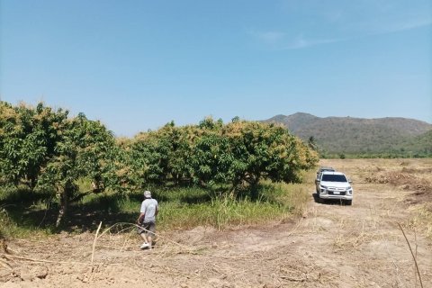 Terrain à Hua Hin, Thaïlande 21188 m2 № 136273 - photo 14