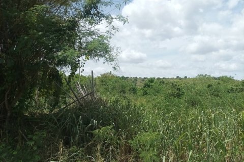 Terrain à Hua Hin, Thaïlande 21188 m2 № 136273 - photo 8