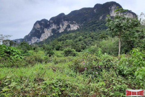 Terrain à Krabi, Thaïlande 26000 m2 № 193933