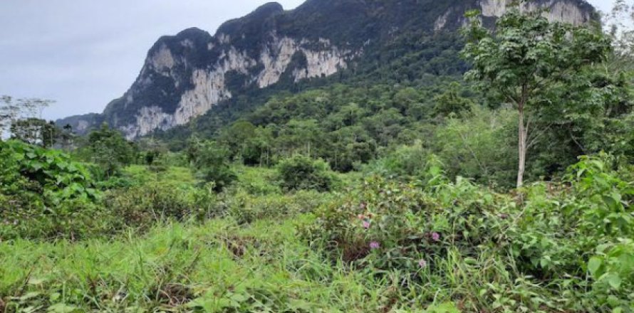 Land in Krabi, Thailand 26000 sq.m. № 193933
