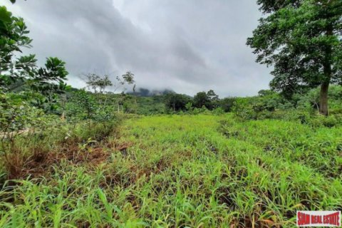 Land in Krabi, Thailand 26000 sq.m. № 193933 - photo 3