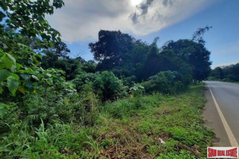 Land in Krabi, Thailand 26000 sq.m. № 193933 - photo 4