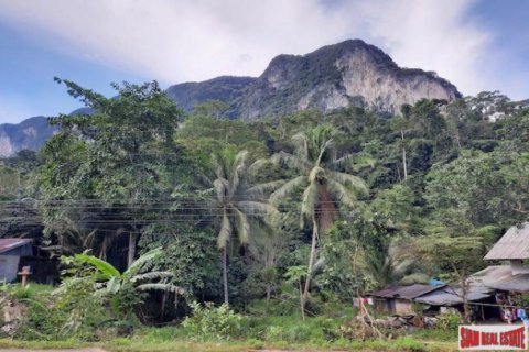 Land in Krabi, Thailand 26000 sq.m. № 193933 - photo 5