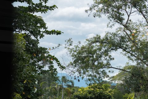 Вилла в Чиангмае, Таиланд с 5 спальнями № 147914 - фото 5